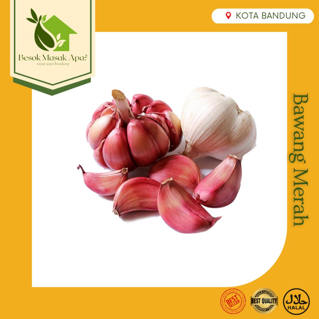 

Bawang Merah Fresh 100gr