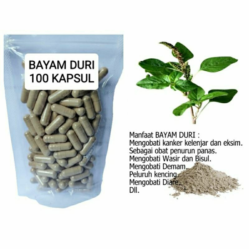 

BAYAM DURI 100 KAPSUL OBAT HERBAL TERBAIK TOPP SELLER JATIM (PREMIUM QUALITY)