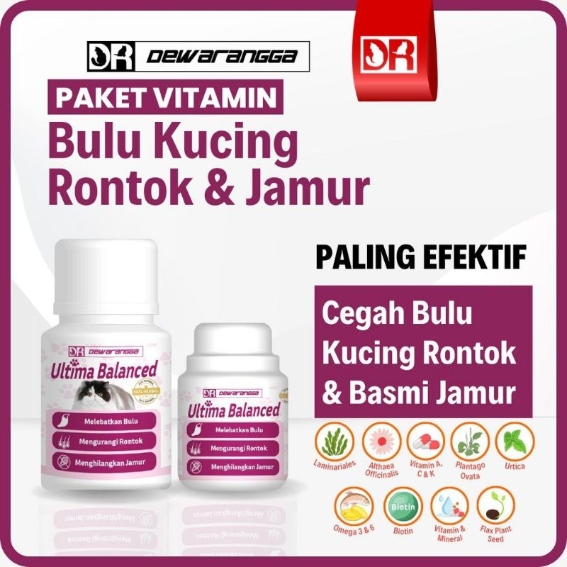 ULTIMA BALANCED DEWARANGGA | PEMBELIAN ECERAN
