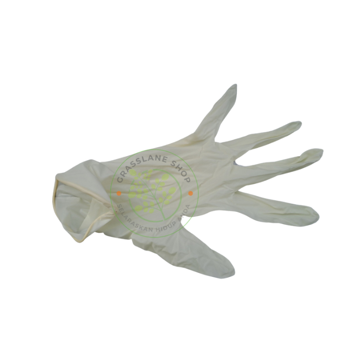 Sarung Tangan Medis Latex Karet No / Non Powder / Powder Free Examination Gloves Premium Shamrock