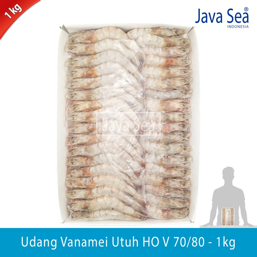 

Udang Vanamei Utuh Ada Kepala HO V 70/80 pack 1kg Java Sea