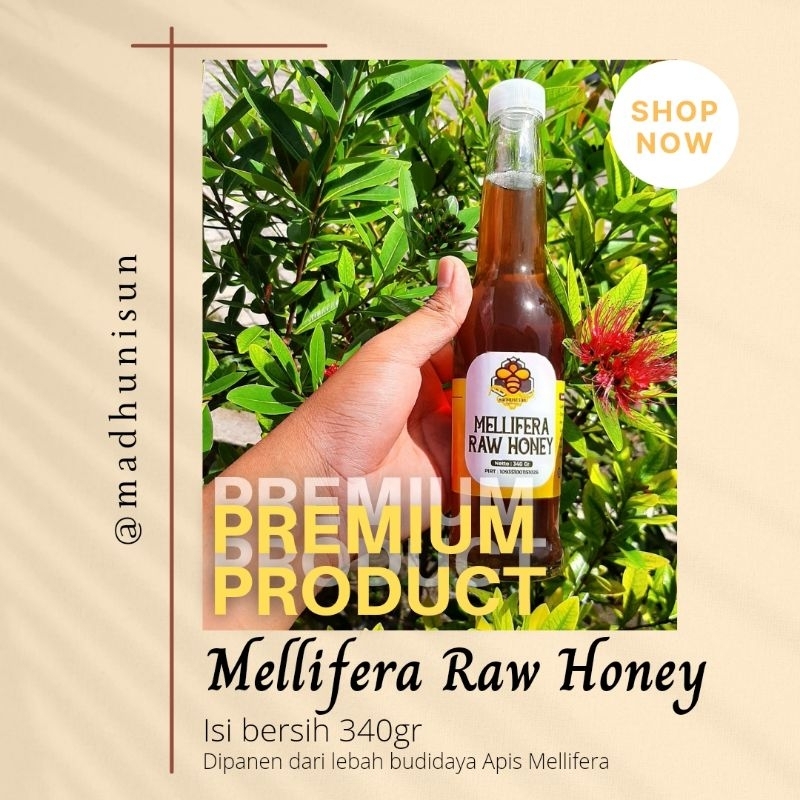 

Madu Mellifera Raw - Madu Murni