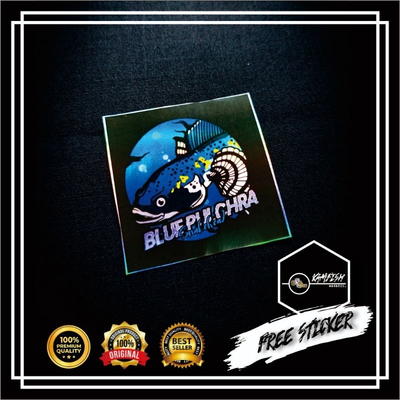 STICKER AQUARIUM IKAN CHANA/STICKER CHANA BLUE PULCHRA