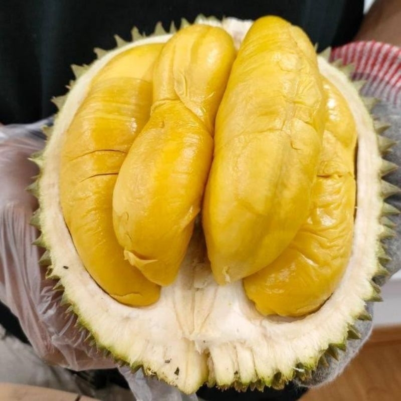 

Durian musang king 1,5kg