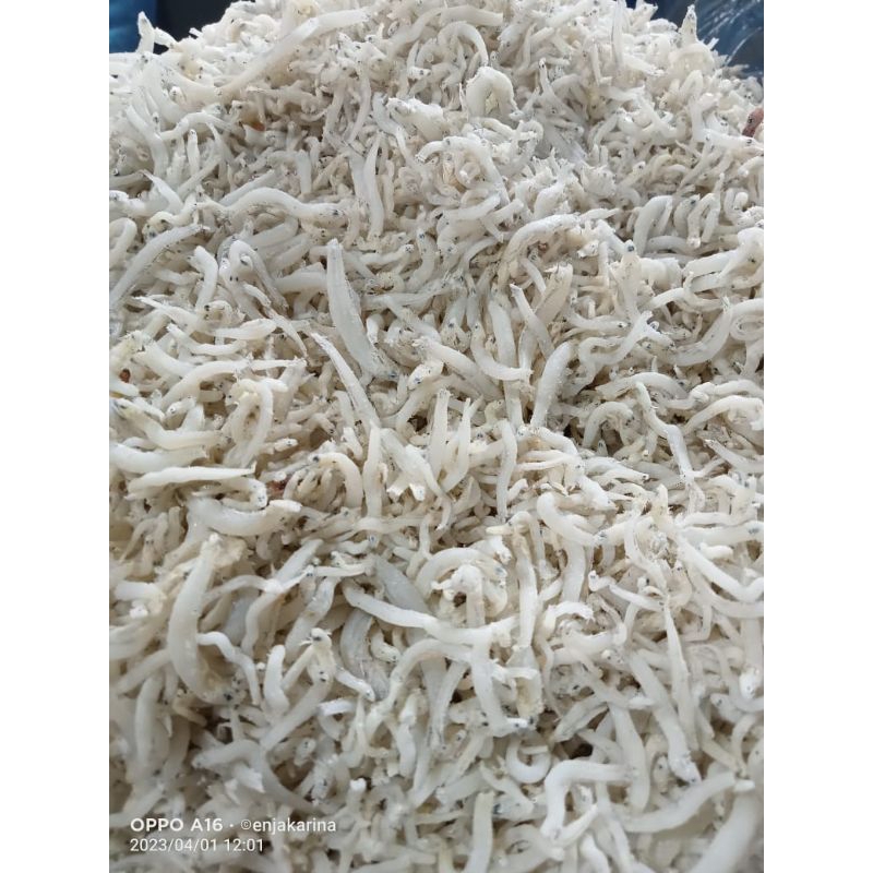 

Teri Nasi Medan Premium (Berat 100 Gram)