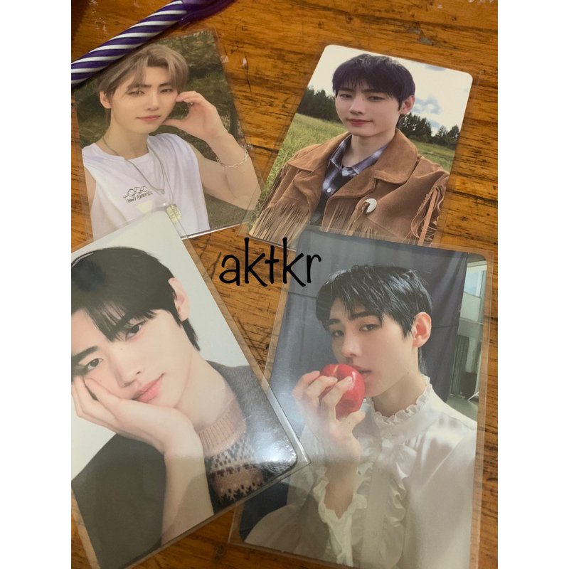 sunghoon chibi / sunghoon apel bundle