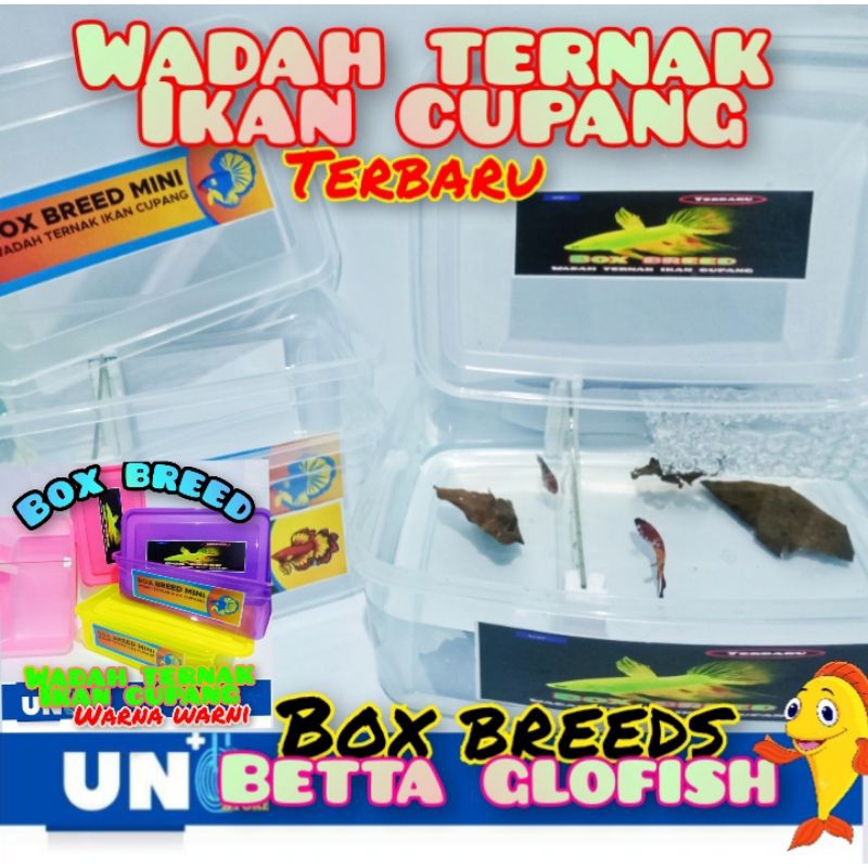 BOX BREED / BOXBREED WADAH TERNAK PENJODOHAN IKAN CUPANG