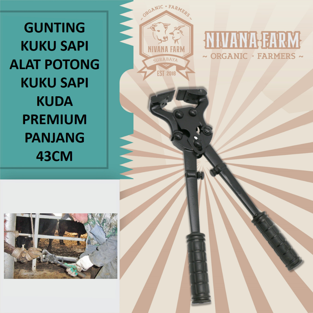 Gunting Kuku Sapi Alat Potong Kuku Sapi Kuda Premium Panjang 43cm