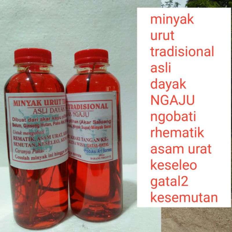 minyak urut/gosok dayak NGAJU