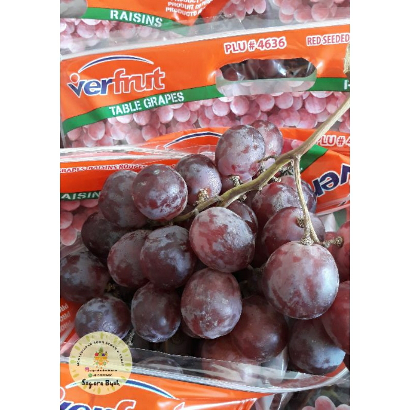 

Anggur Merah Manis 1 kg