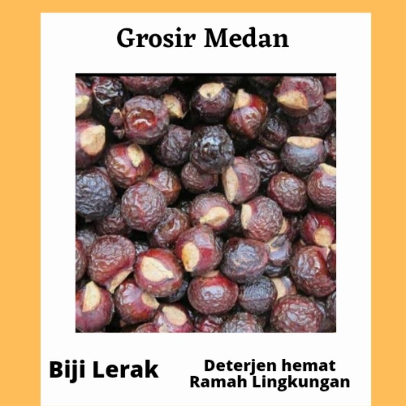 Lerak/ Buah Lerak/ Lerak Sabun Cuci Alami/ Sabun Lerak/ Buah Lerak Detergen Alami/ Lerak Pembersih A