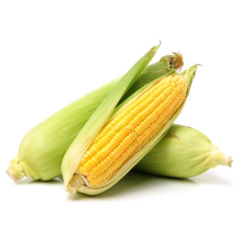 

jagung manis 3pcs