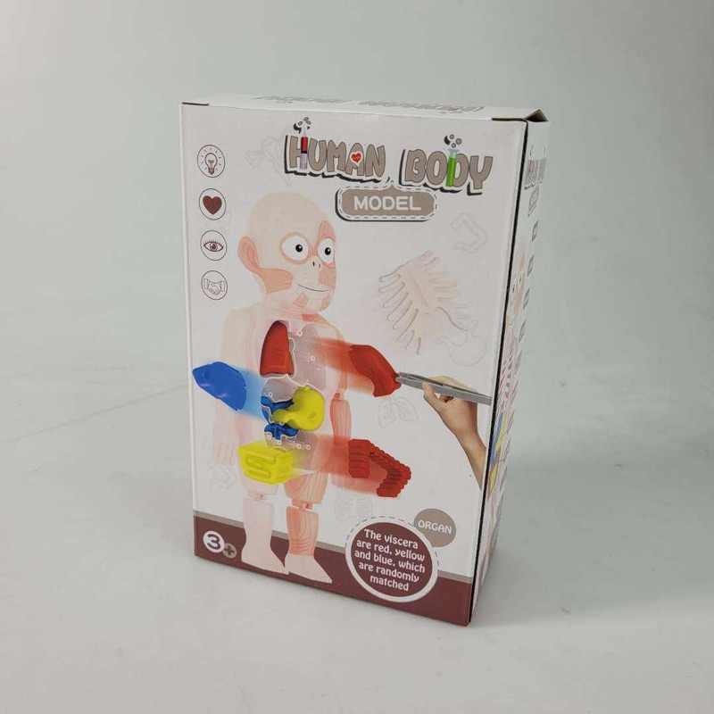 [OBRAL RIJEK] Mainan Anak Montessori Body Anatomy Children Toy - DD232