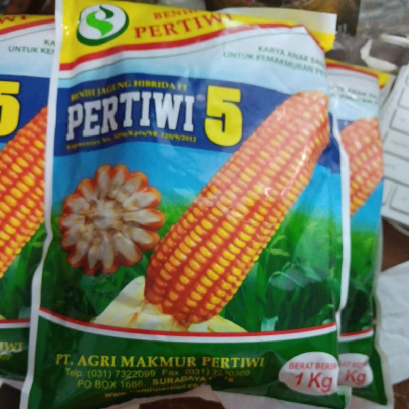 Benih Unggul JAGUNG HIBRIDA PERTIWI 5 ISI 1 KG