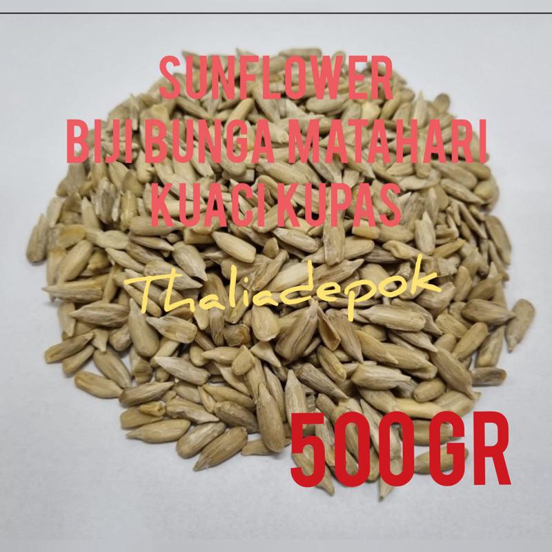 

SUNFLOWER SEED/BIJI BUNGA MATAHARI/BIJI KUACI ECER 500GR KUPAS MENTAH