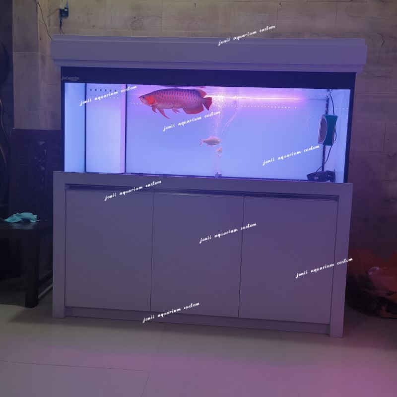 aquarium kabinet 150x60x60 & ikan arwana SR merah merona size 45cm full set tinggal nikmati saja
