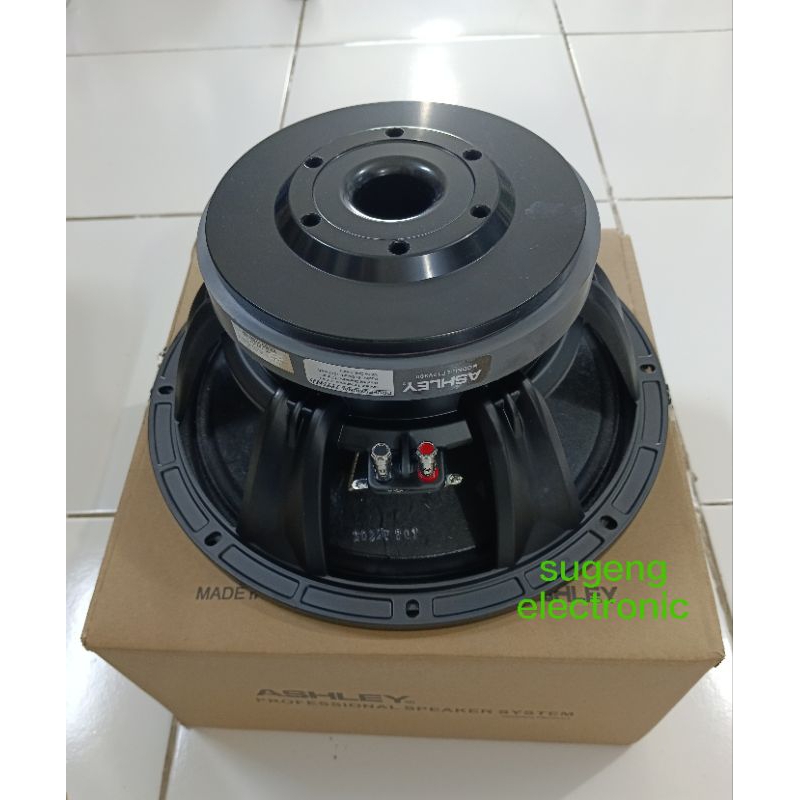 12 inch Speaker ASHLEY 12V300LF