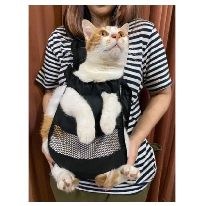 tas gendongan hewan / tas gendongan kucing / tas gendongan kucing berat 6kg / tas gendongan kucing b
