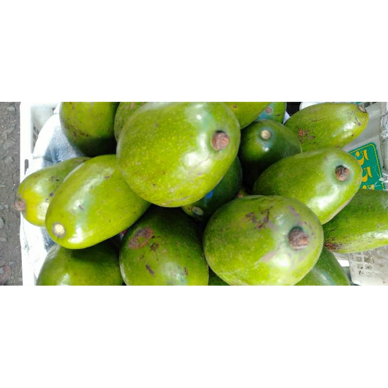 

Buah Alpokat Avocado apokat minim order 3kg@