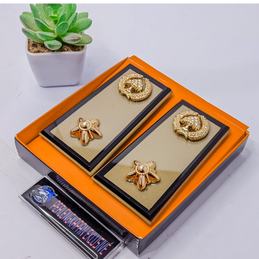 PANGKAT ASN LAMPUNG 4A  - FUL MIKA PANGKAT ASN LAMPUNG 4A - PANGKAT PNS LAMPUNG 4A - PANGKAT ASN BEN