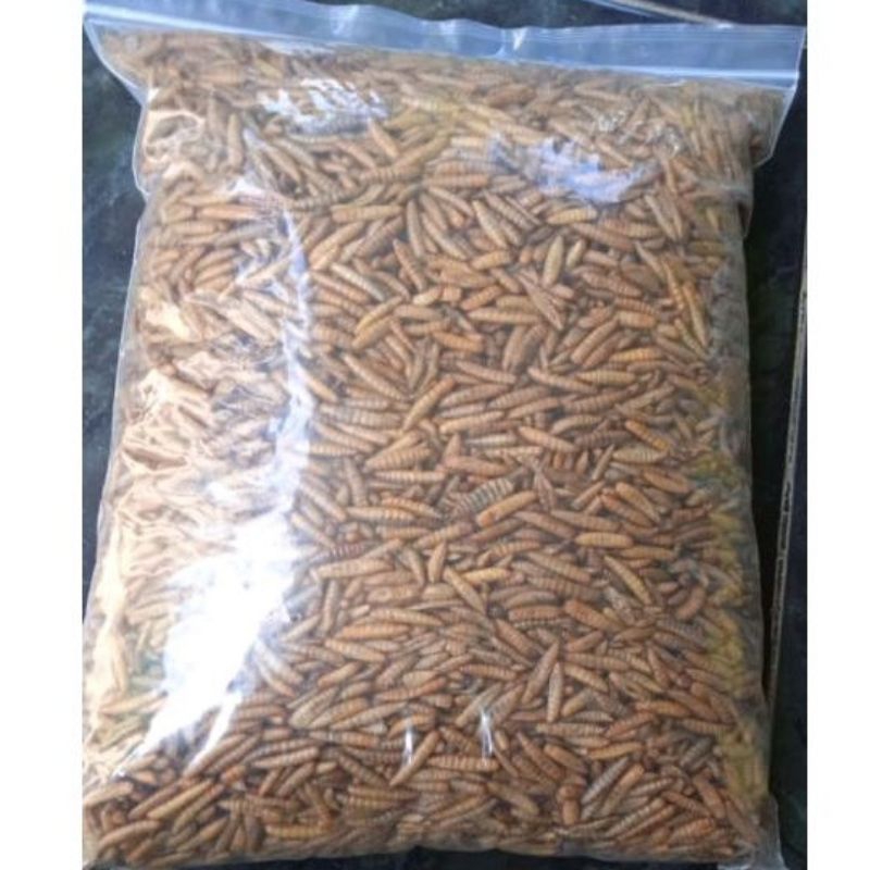 Maggot kering BSF 250gr / dry maggot kualitas/ pakan maggot BSF 250
