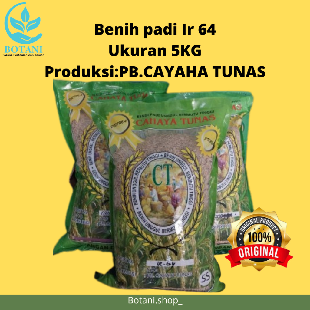 Benih Padi Ir64 Ukuran 5kg