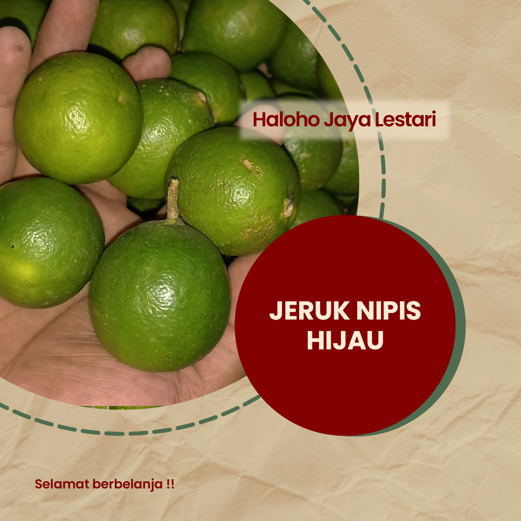 JERUK NIPIS HIJAU SEGAR 1KG