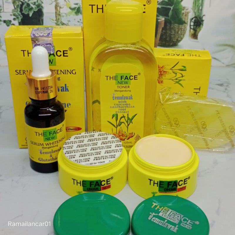 Paket Temulawak The Face 5in1 Ori BPOM sabun toner serum cream siang malam