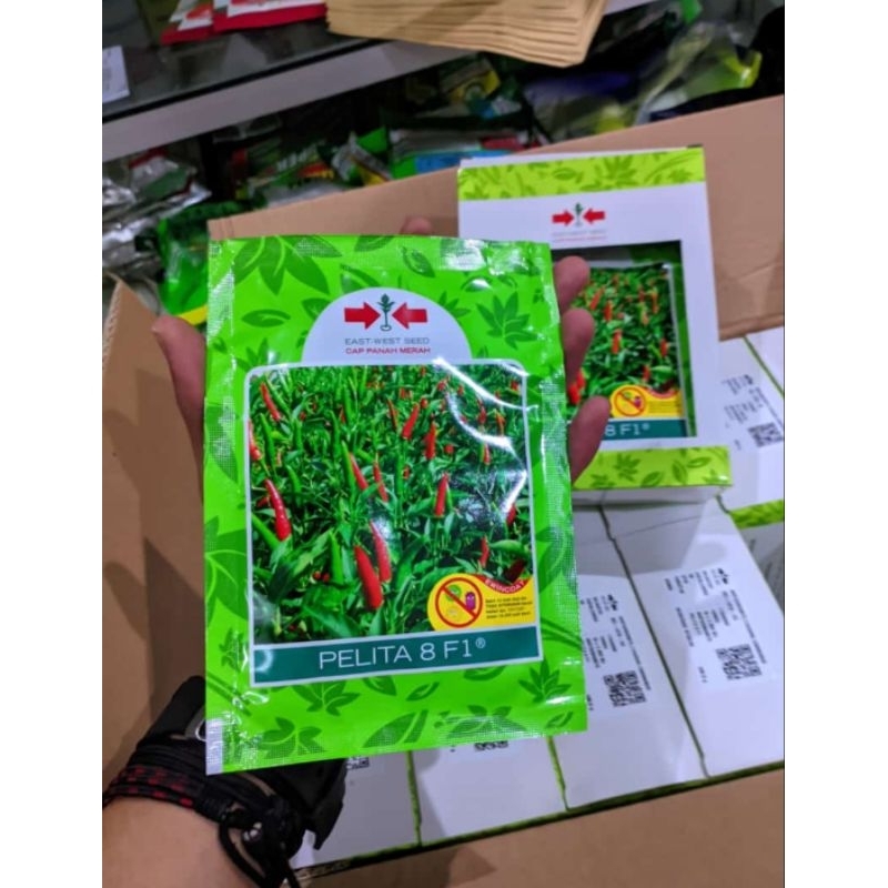 Cabe Pelita 8 f1 kemasan 2.250 Original Pabrik