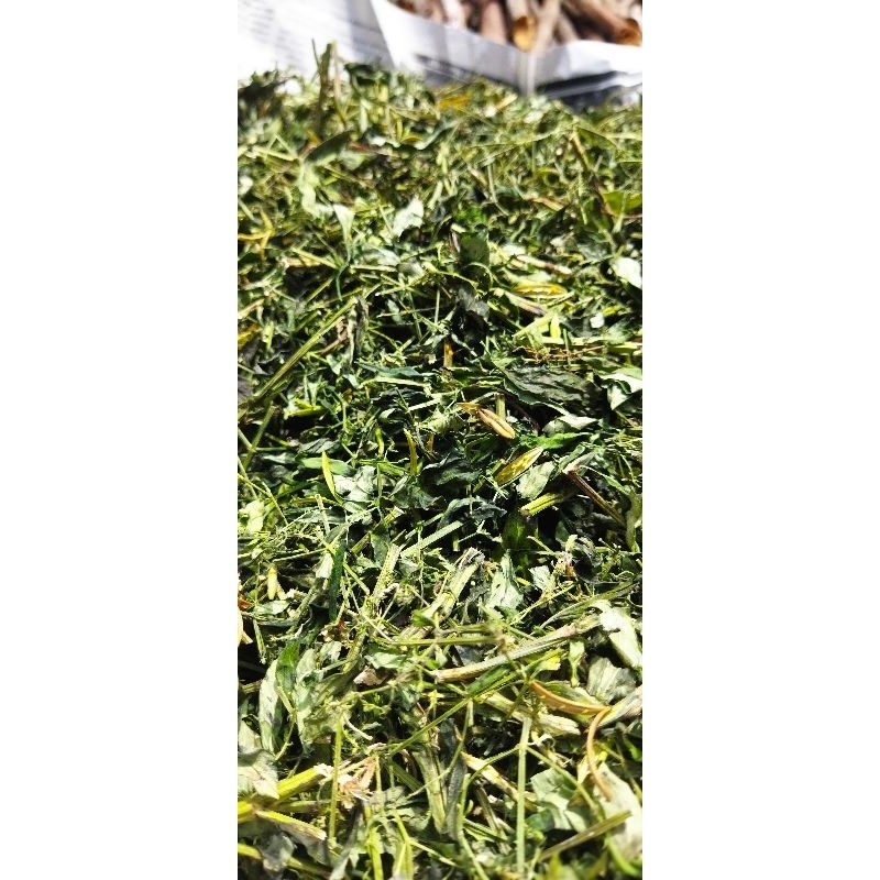 

Daun sambiloto kering cacah 250 gram