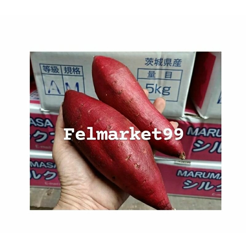 

ubi Sweet Potato ibaraki silk japan | ubi jepang original | 1 kg