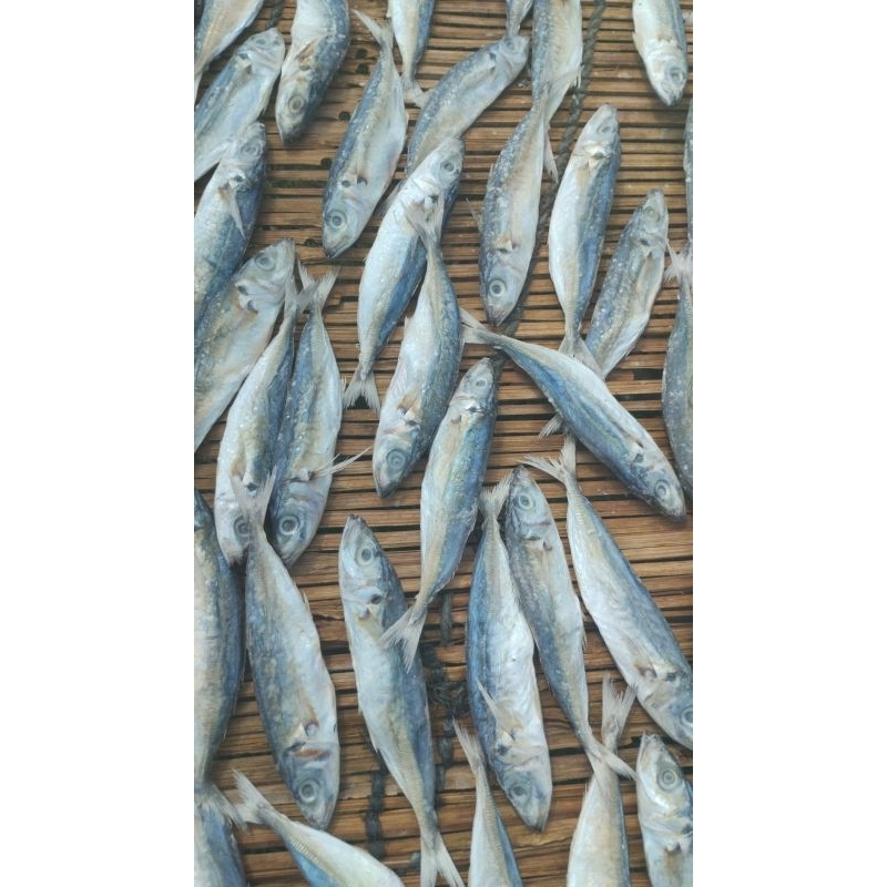 

ikan layang asin