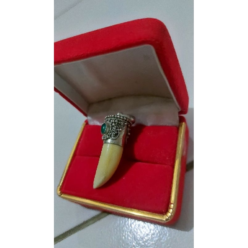 Lionting Bacan dan Taring Babi Hutan