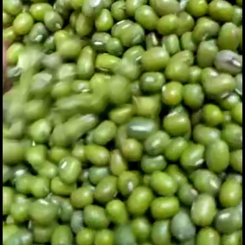 

kacang hijau 1 kg / kacang ijo repack 1 kg