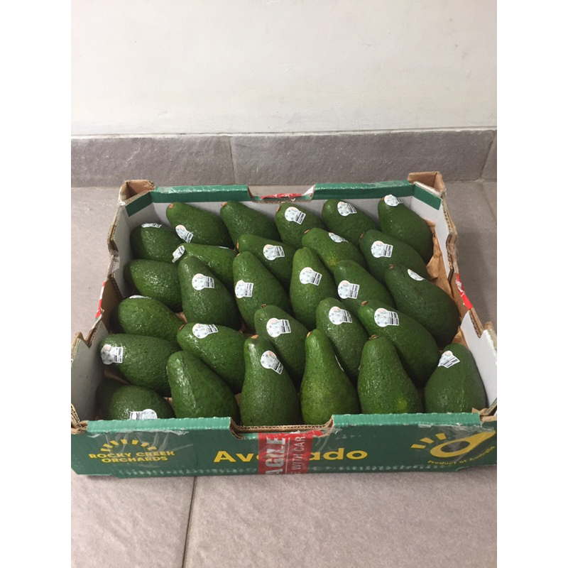 

Alpukat / Avocado Haas Australia 1 Dus (5 KG) Fresh Import