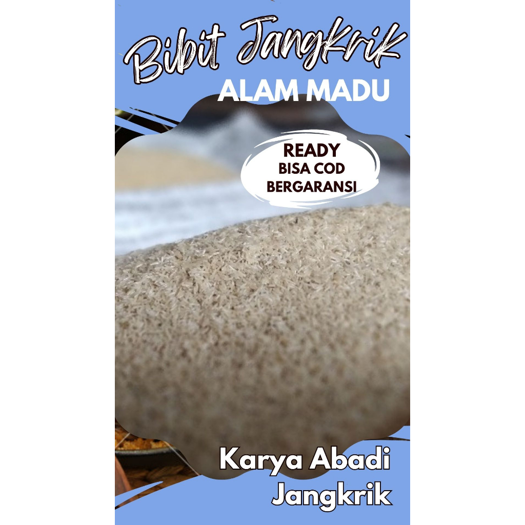BIBIT TELUR JANGKRIK MADU KUNYIT