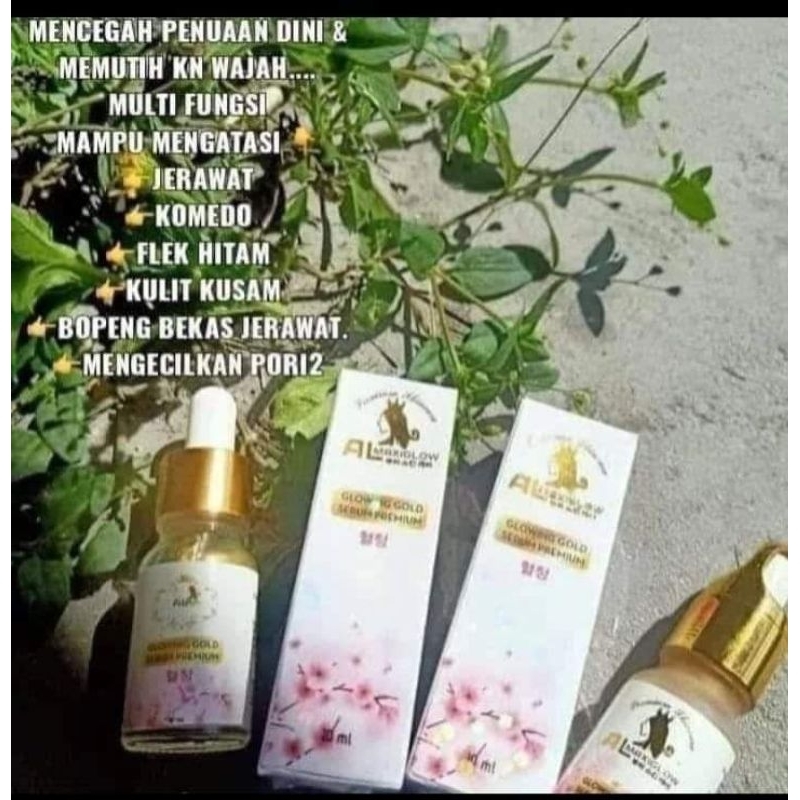 SERUM GOLD AL-maxiglow