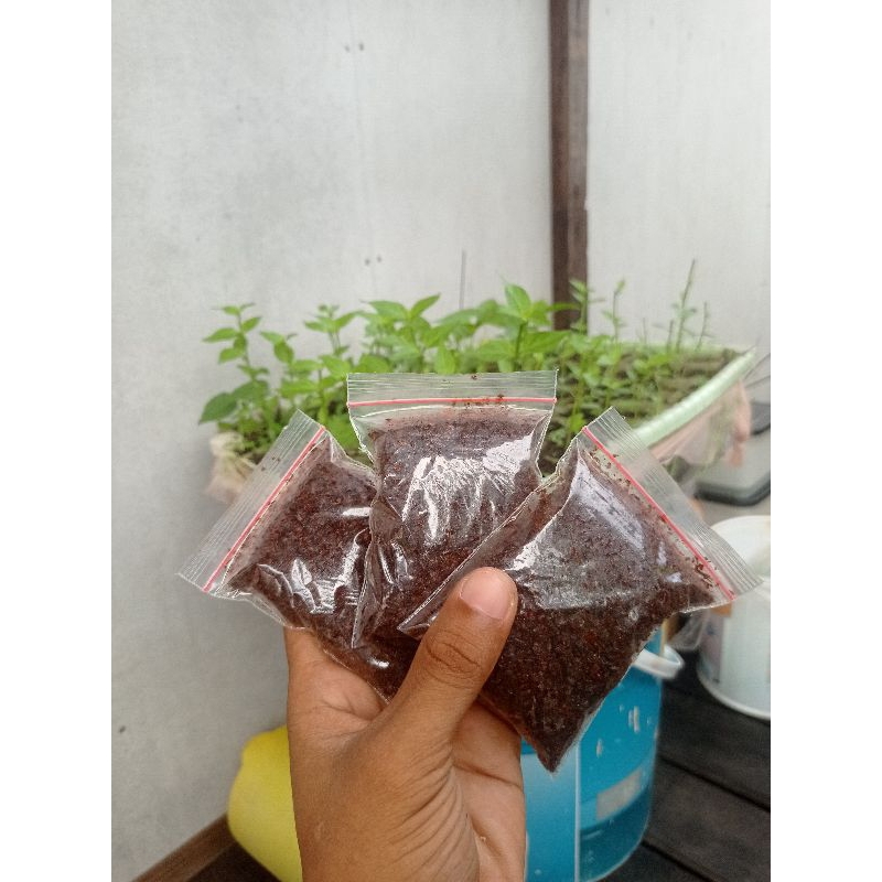 Dupa Gaharu Serbuk Dupa wangi Asli Kalimantan