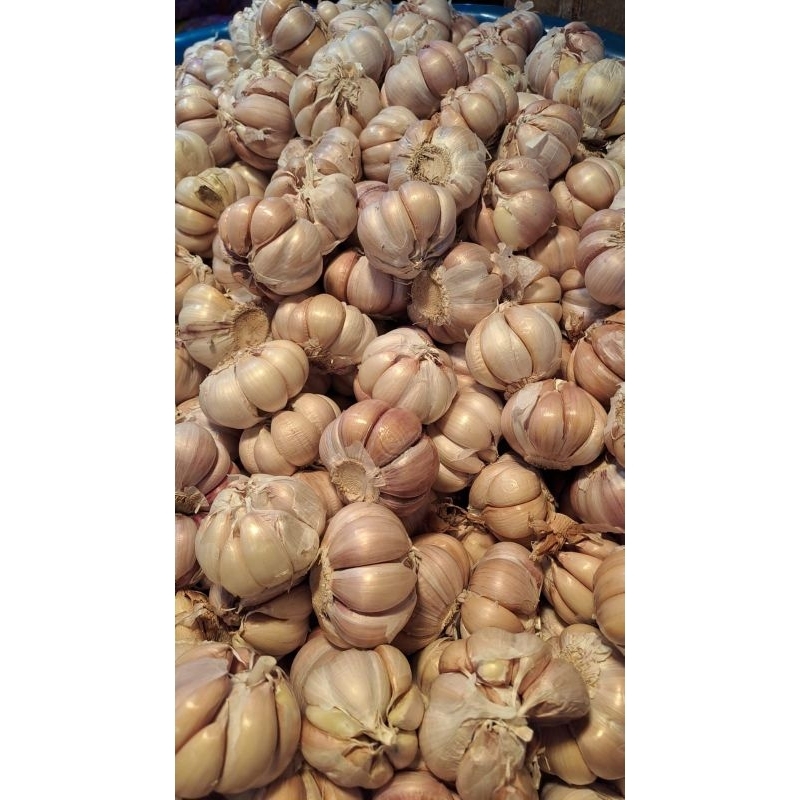 

Bawang Putih 250gr