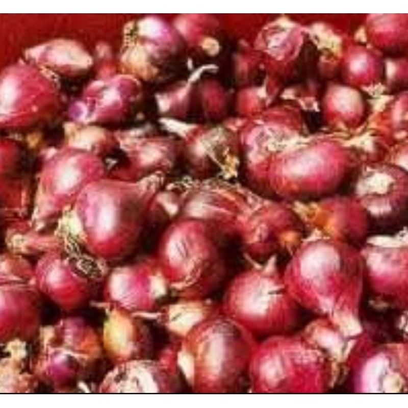 

Brambang murah/ bawang merah 1 kg