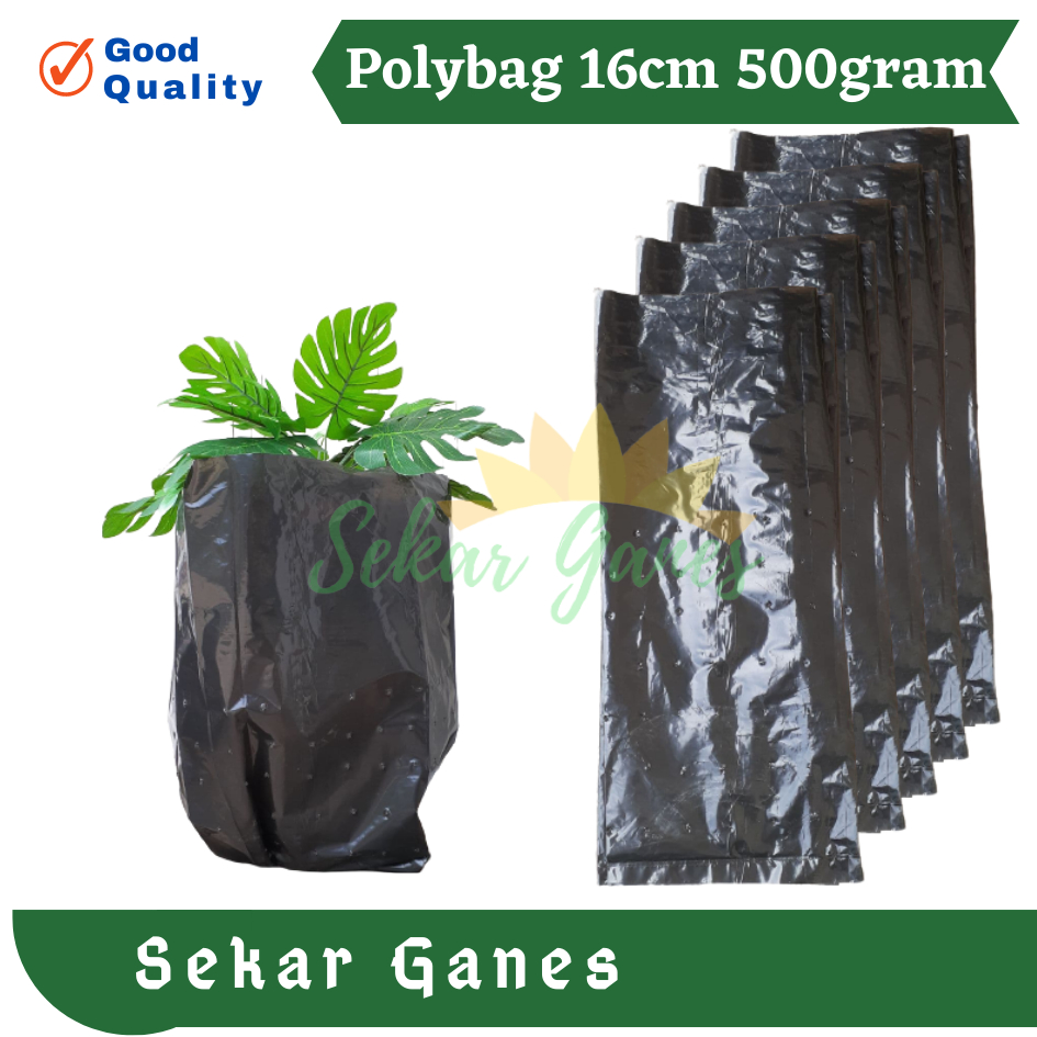 Polybag Polibek 60x60cm Polibag Besar 60x60 cm Kualitas Bagus Grosir