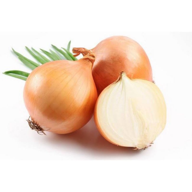 

Bawang Bombay Fresh Bandung
