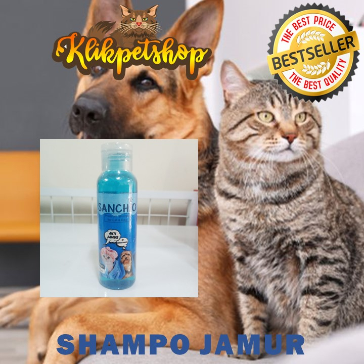 Shampoo Jamur Kucing, Anjing 100 ml SANCHIO Termurah