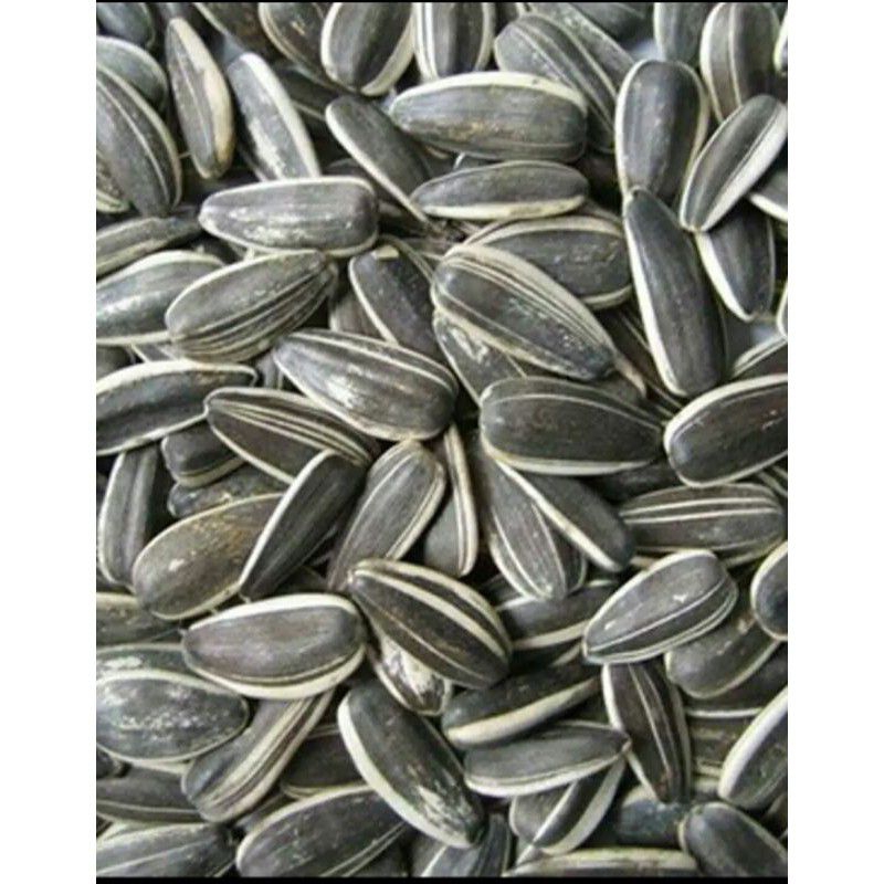 kuaci matang biji bunga matahari original 1 kg /kuaci matang biji bunga matahari original 1 kg/kuaci