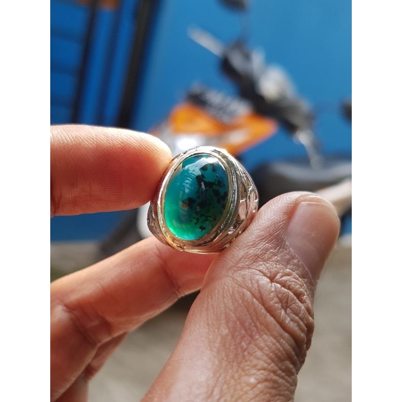 Bacan Doko Totol Coklat