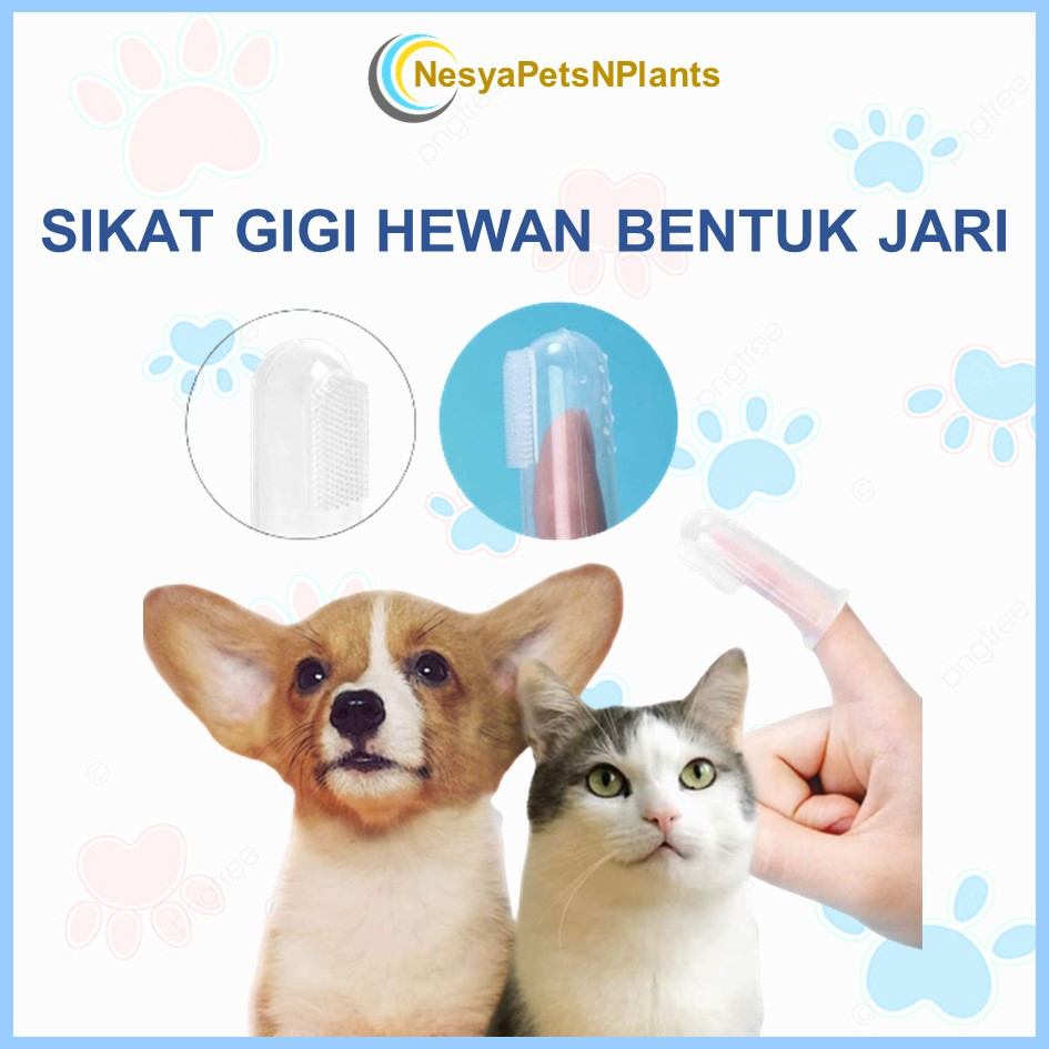 Sikat Gigi Jari Bahan Silikon Untuk Anjing dan Kucing