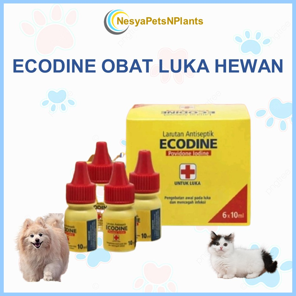 Antiseptik Ecodine 10ml Obat Luka Kucing Anjing Kelinci Anti Infeksi Cepat Kering