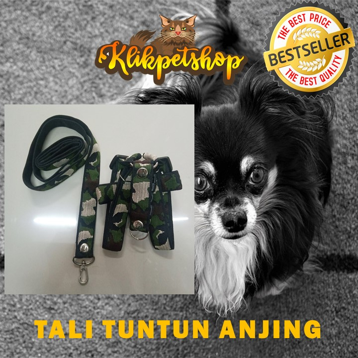 Tali Tuntun Anjing Harnes Y Besar