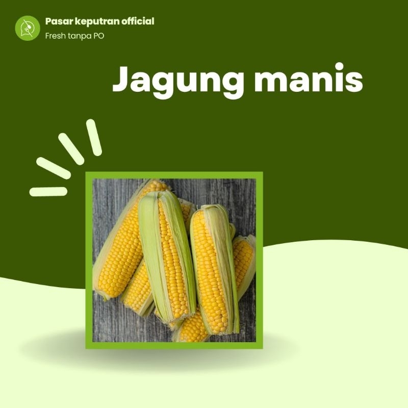 

Jagung manis isi 2,jagung manis fresh,jagung manis