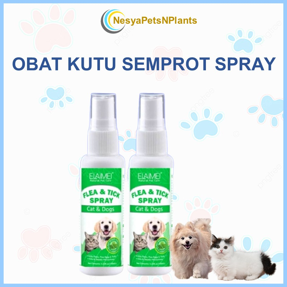 Obat Kutu Kucing Kelinci Anjing Alami Aman Terjilat ELEMAI Obat Kutu Kucing Ampuh